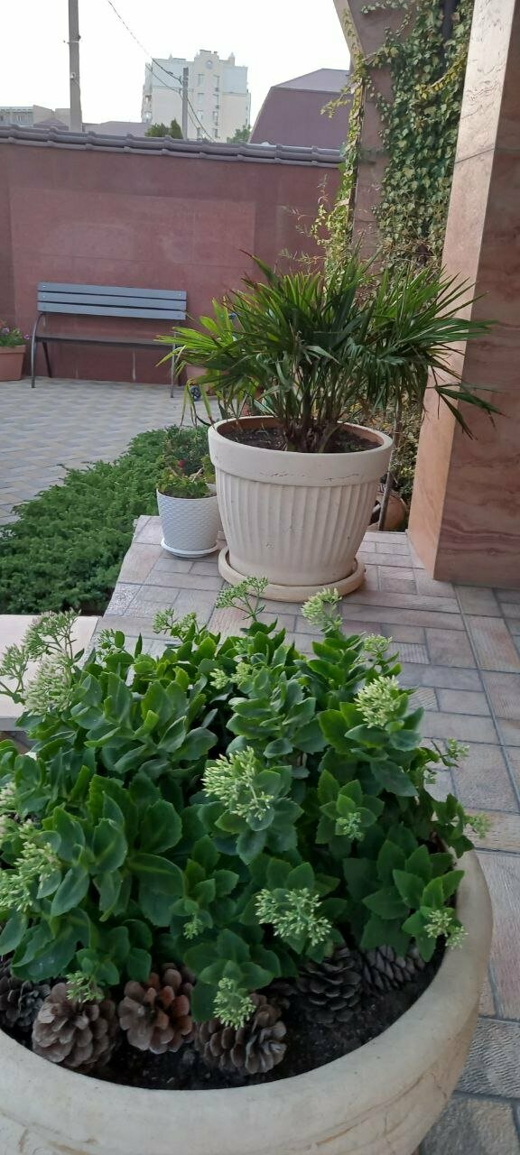 Гостиница Верона Дивноморское-104