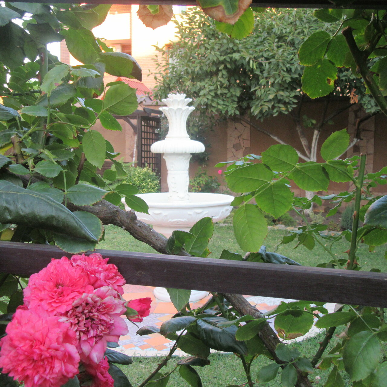 Гостиница Верона Дивноморское-96