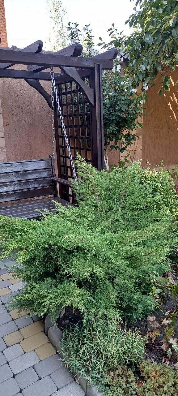 Гостиница Верона Дивноморское-106