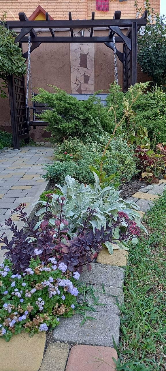 Гостиница Верона Дивноморское-111