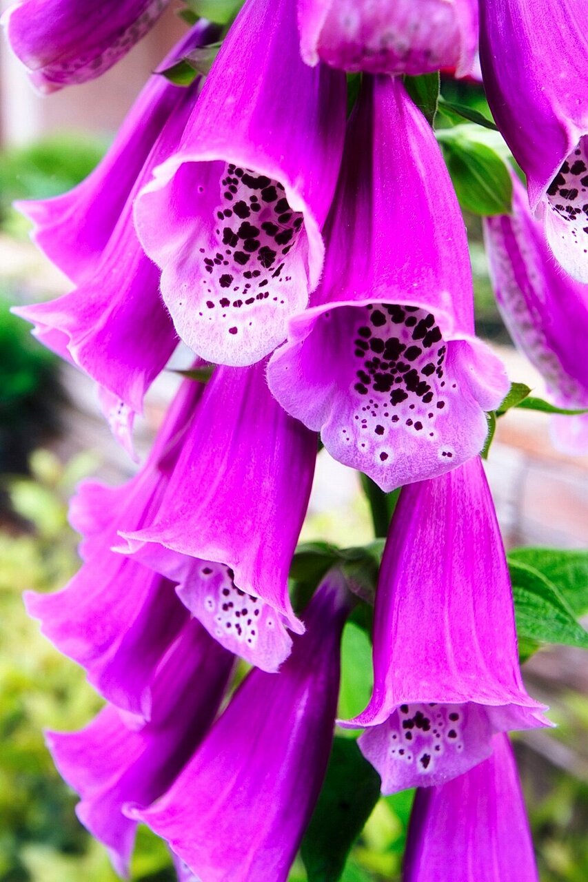 Гостиница Верона Дивноморское-55