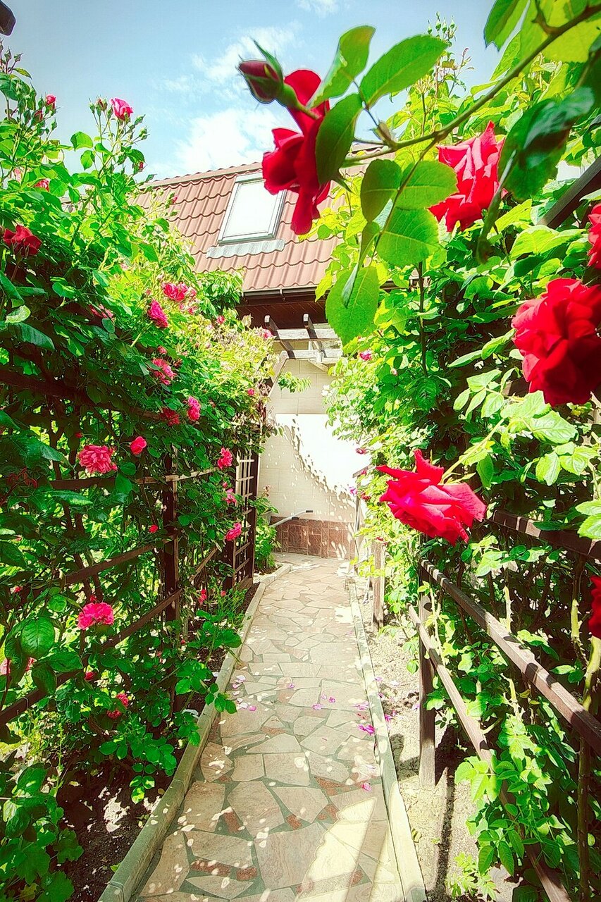 Гостиница Верона Дивноморское-62