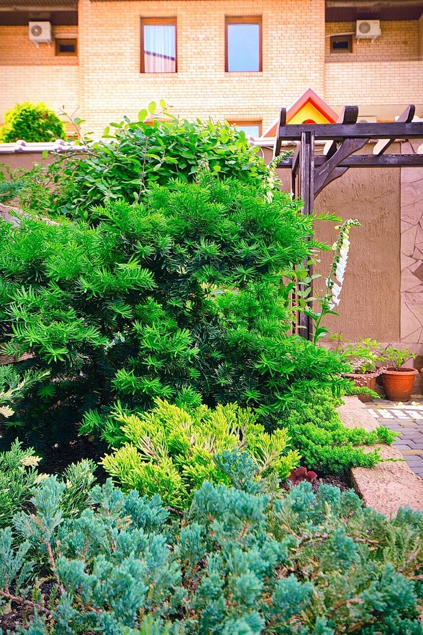 Гостиница Верона Дивноморское-54