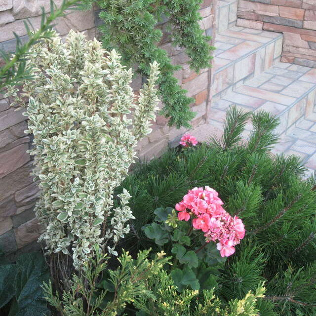 Гостиница Верона Дивноморское-93