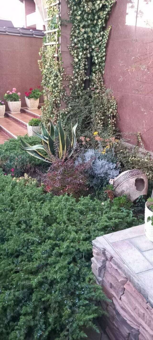 Гостиница Верона Дивноморское-115