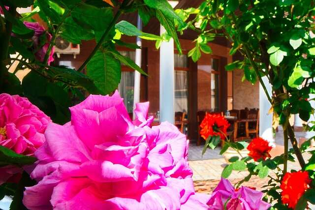 Гостиница Верона Дивноморское-52