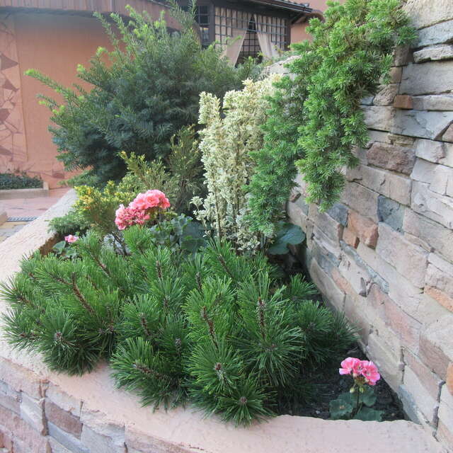 Гостиница Верона Дивноморское-101