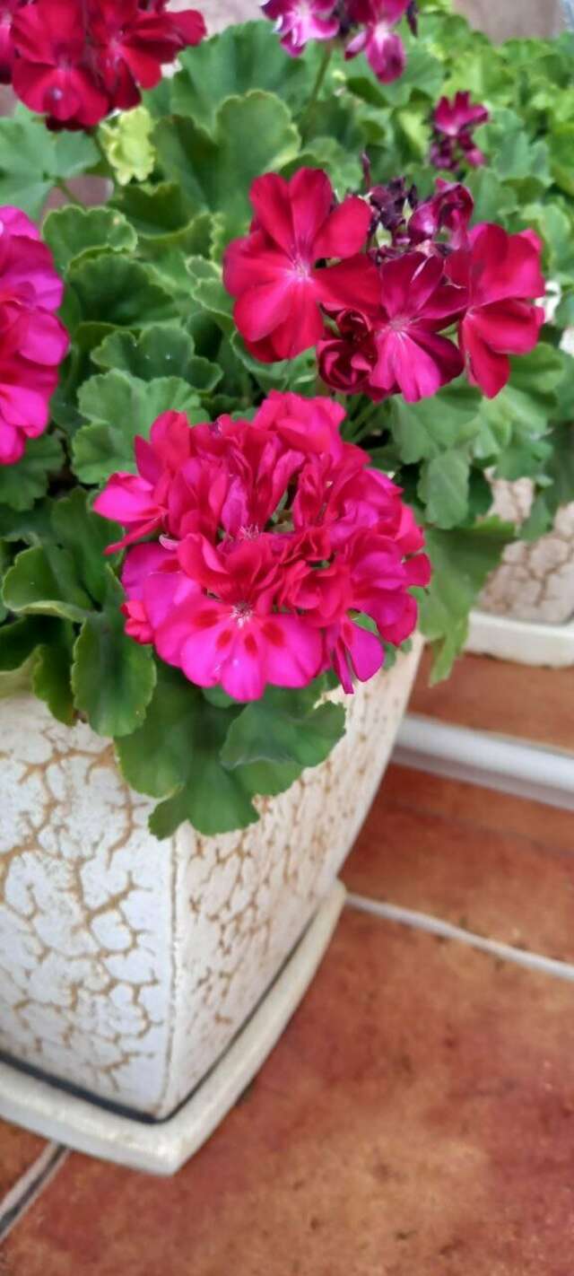 Гостиница Верона Дивноморское-116