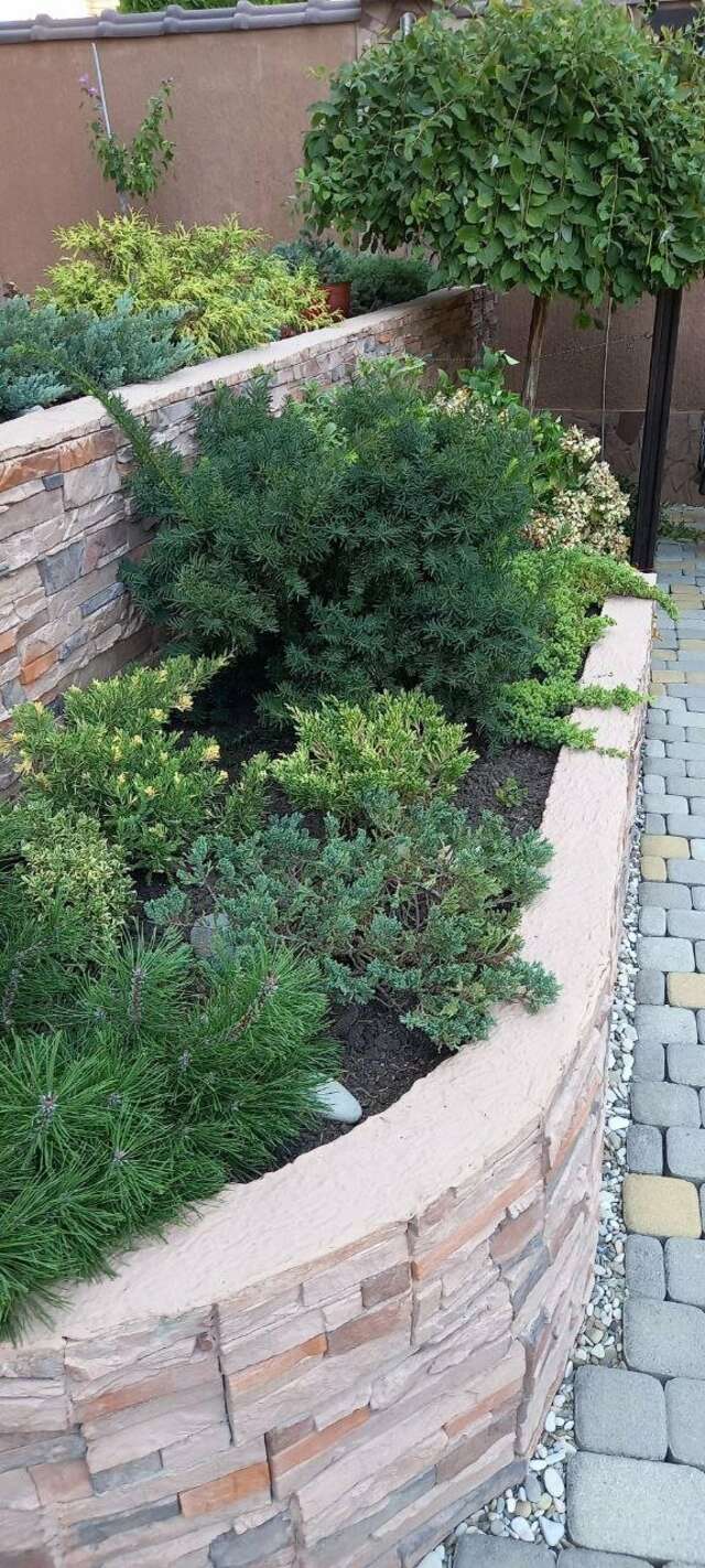 Гостиница Верона Дивноморское-117