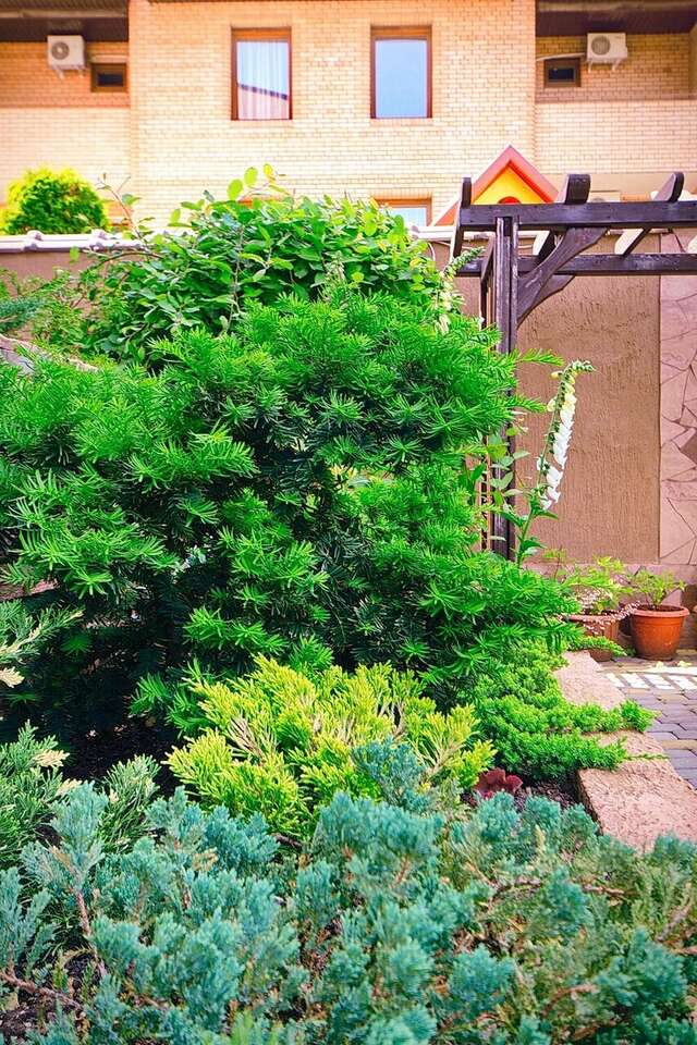 Гостиница Верона Дивноморское-53